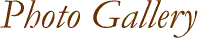 ۤ