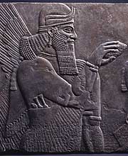 �Ȧ訽�ȯB�J�G���F�P����ͱq