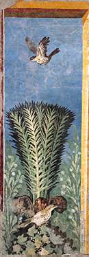 F�������^�O���e (C)