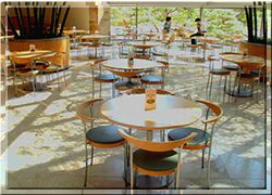 Tea Room Pine View