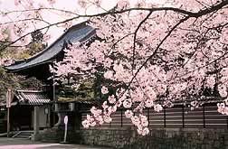 Ishiyama-dera Temple