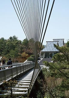 The Beauty of the Suspension Bridge