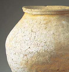 Shigaraki Jar