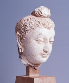 Buddha Head