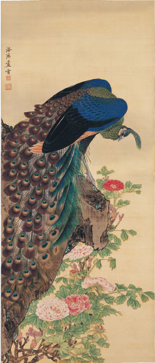 Peonies and Peacock