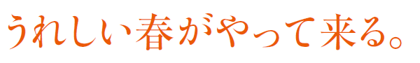 ꂵtėB