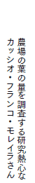 _̗t̗ʂ𒲍錤MSȃJbVIEtREC